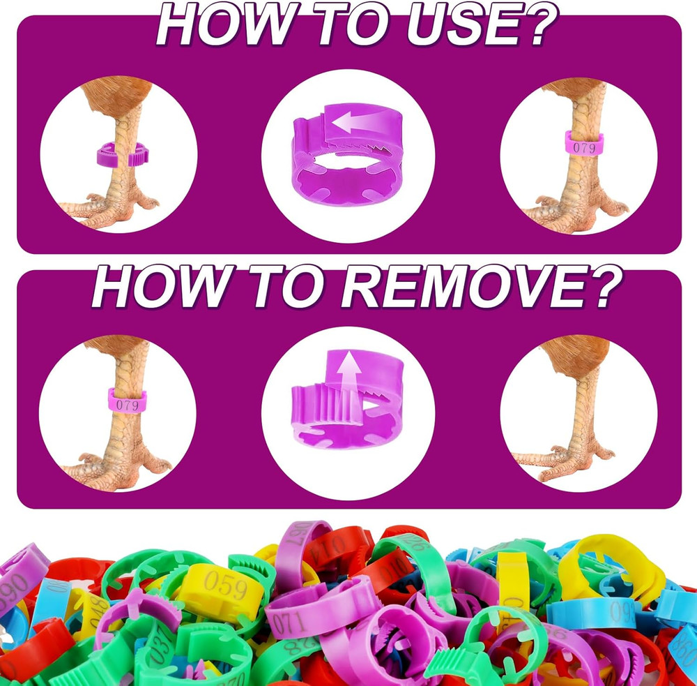 100 Pcs Adjustable Chicken Leg Rings, Multicolor Numbered Chicken Identification