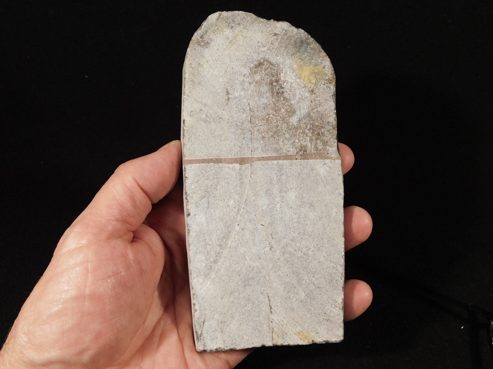 430 Million Year Old! CRINOID Fossil or Sea LILY Fossil Morocco 384gr