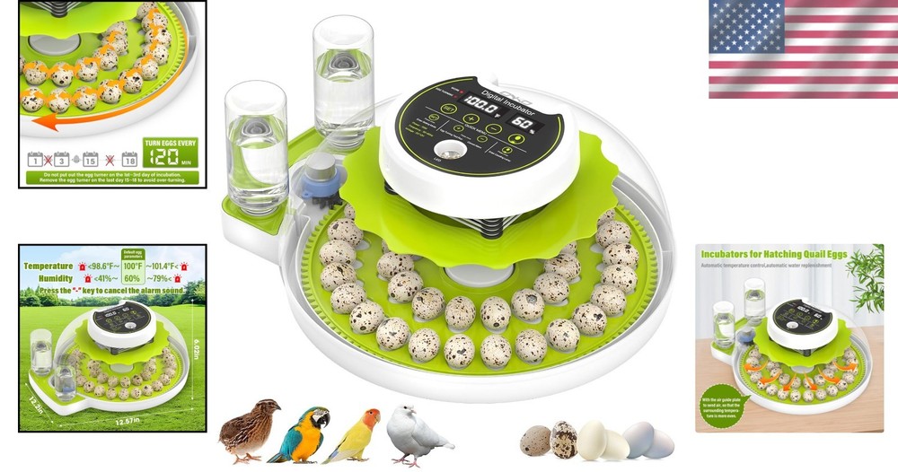 Smart Quail Egg Incubator 40 Eggs Auto Turner Digital Display Green
