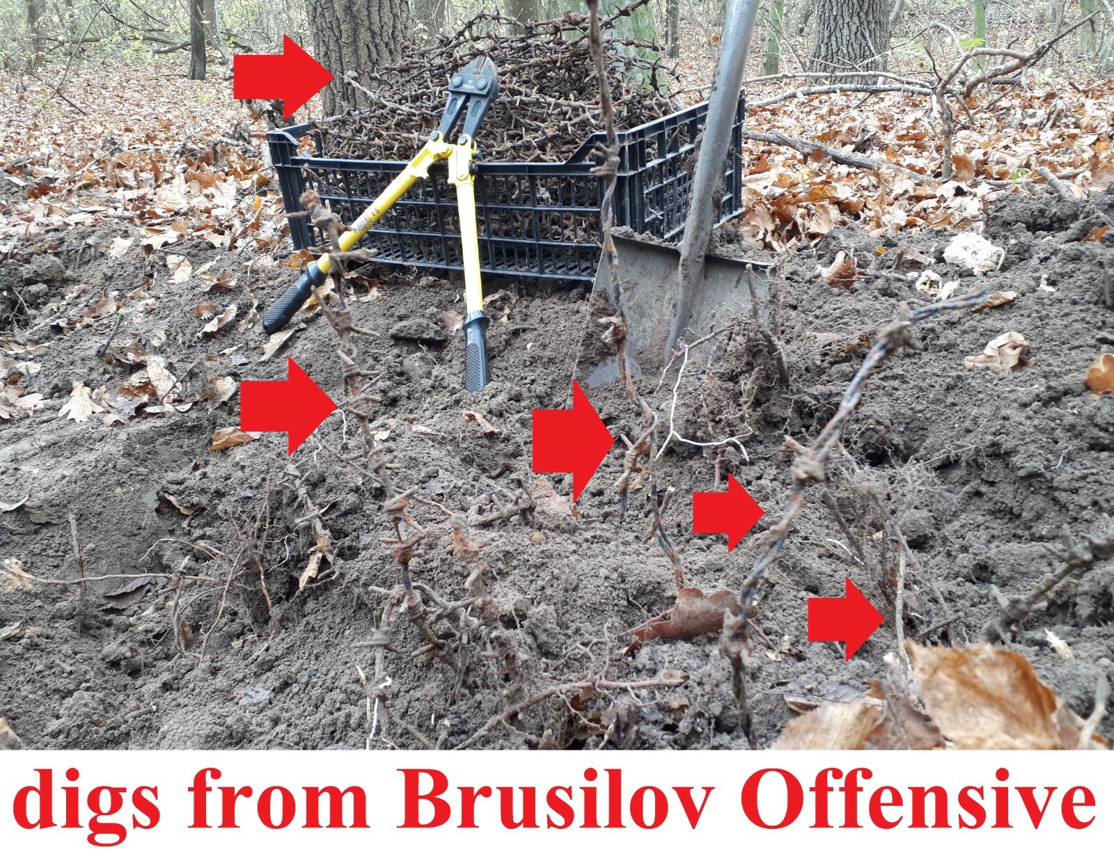 Barbed Wire WWI germany original WW1 dug barb battle relic vintage Great War