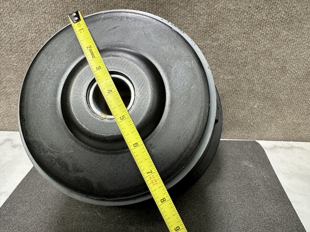 Sunfire 10" Subwoofer driver