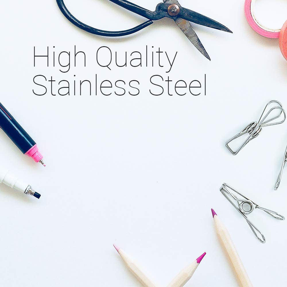 40 Pack Stainless Steel Small Clothes Pins Durable Clothes Pegs Multi-Purpose...