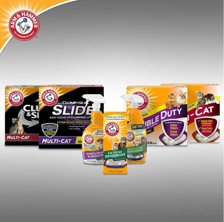 (4 pack) ARM & HAMMER Multi-Cat Clumping Litter Unscented, 20 lb/pack
