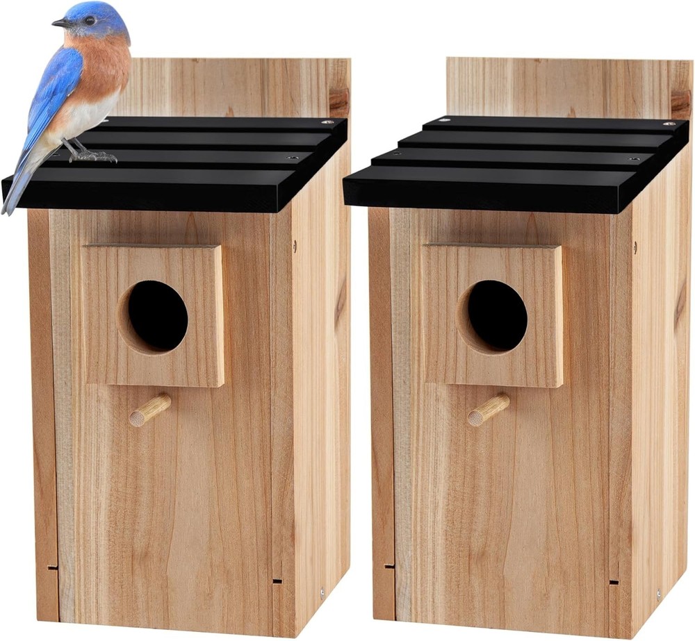 Blue Wood Bird Box House Set - 2PK