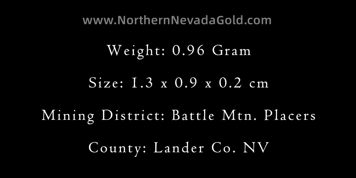 Gold nugget 0.96 Gram Battle Mtn. Placers Lander Co. NV
