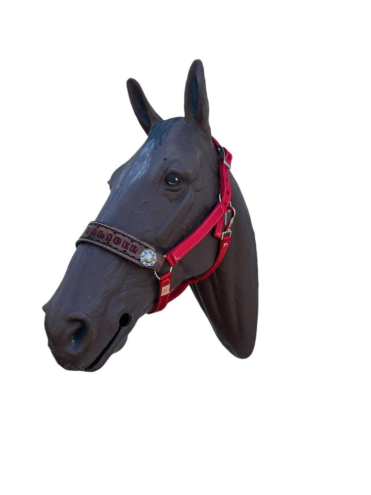 Personalized Nylon Red Horse Halter