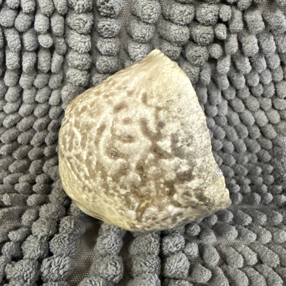 Handcrafted - Sea Turtle Hatchling - Small Figurine