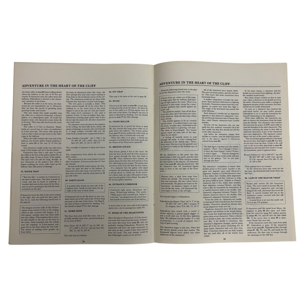 TSR Basic D&D Quest for the Heartstone VG