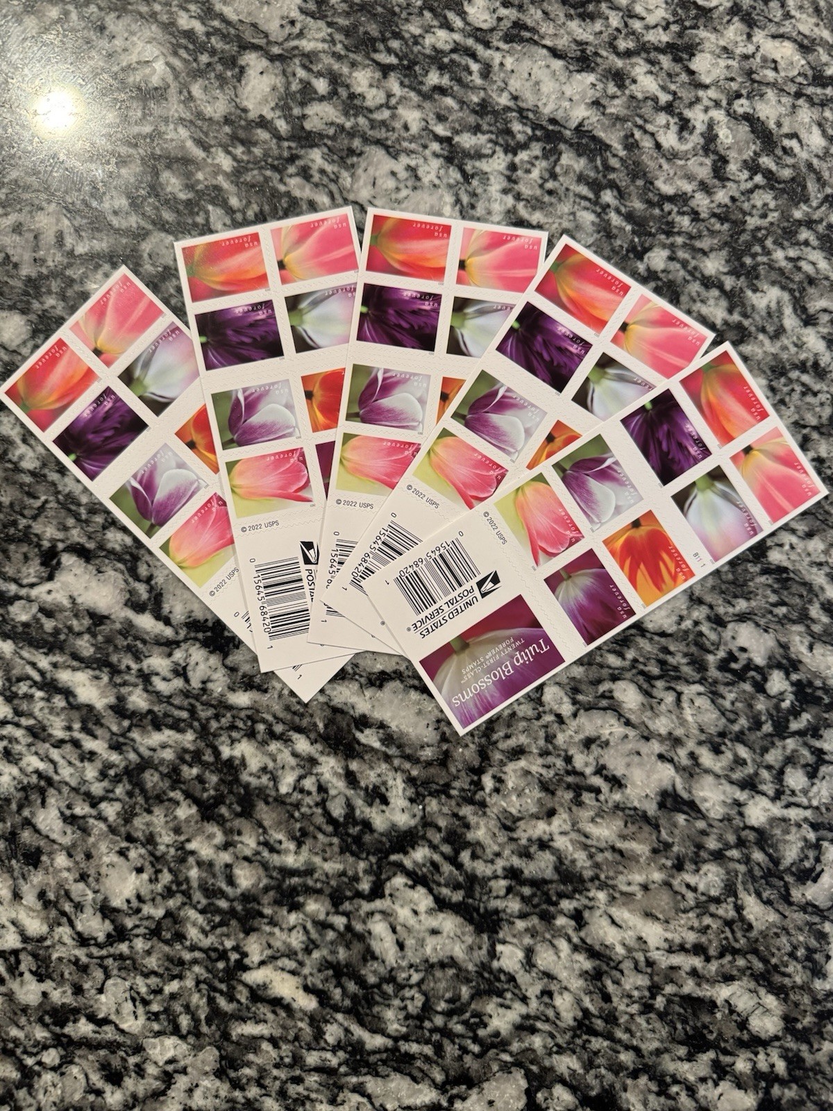 2023 USPS SHEET OF 20 FIRST CLASS LETTER STAMPS TULIP BLOSSOMS 78¢