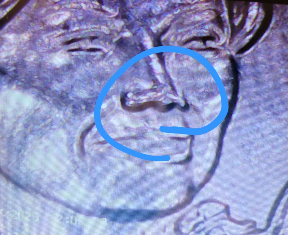 2024 p patsy takemoto mink quarter errors