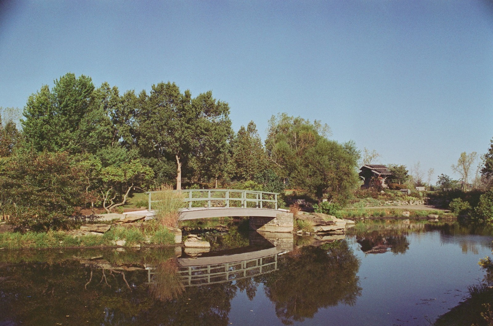 MYSTIC MOTION - 35mm Color Negative Movie Film 100D - 24 exp Process ECN-2