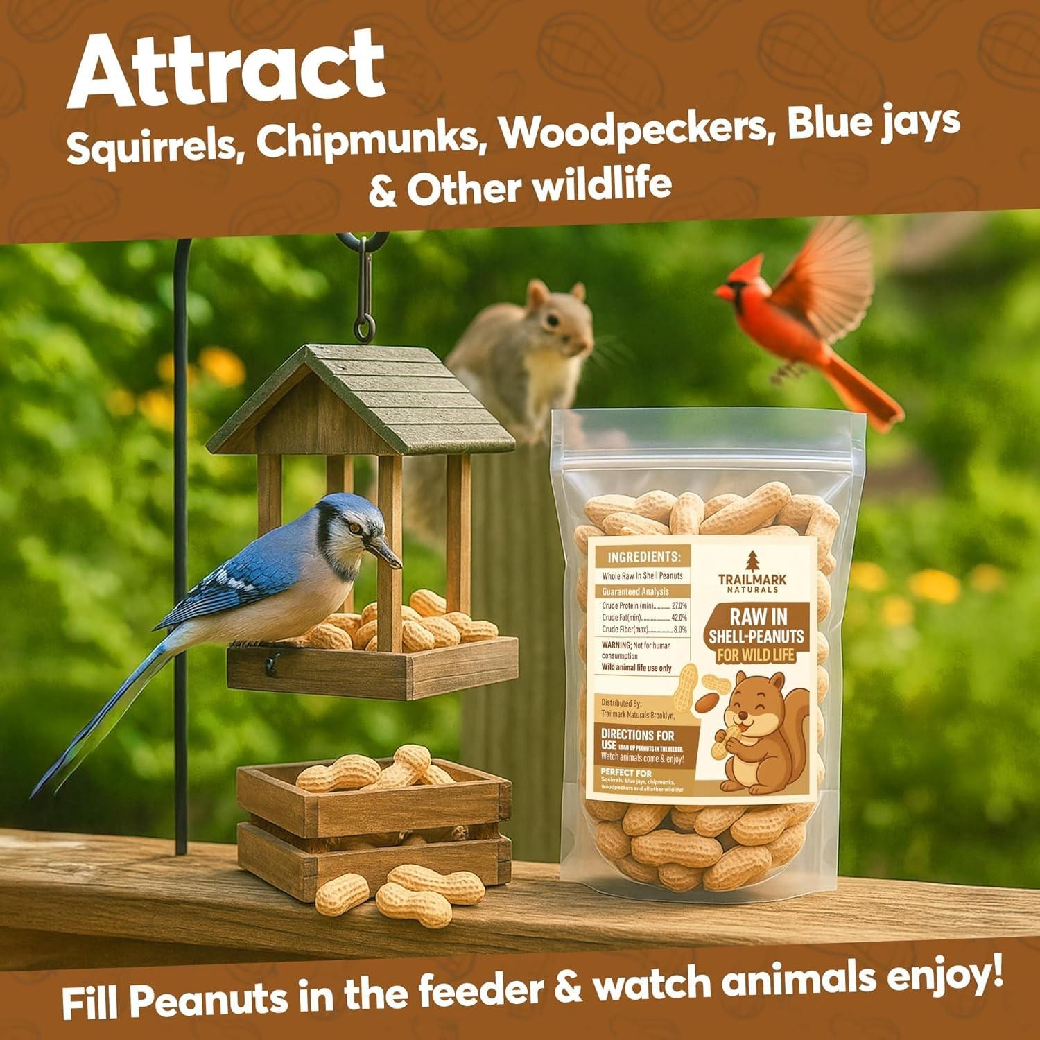 Trailmark Naturals - Raw In Shell Peanuts For Birds Squirrels and Wildlife