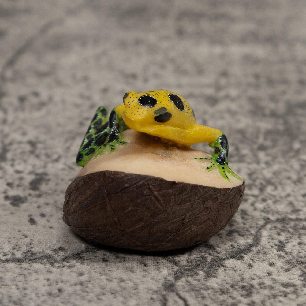 Poison Dart Frog Tagua Carving