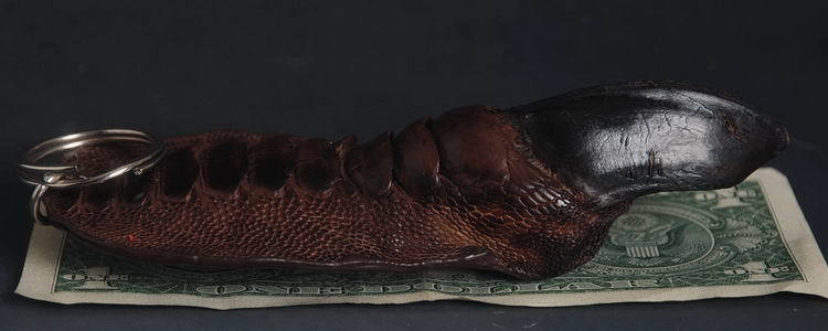 Artificial rearing Ostrich paw Chain