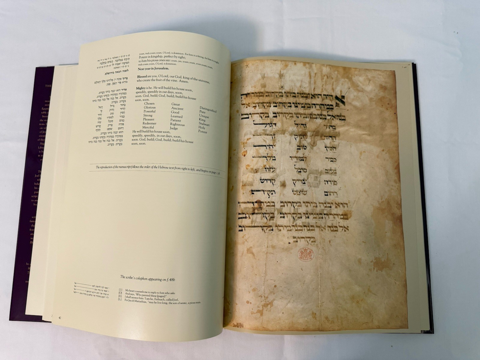 THE HAGGADAH ASHKENAZI PASSOVER PESACH Hebrew Facsimile 15th Century JUDAICA NEW