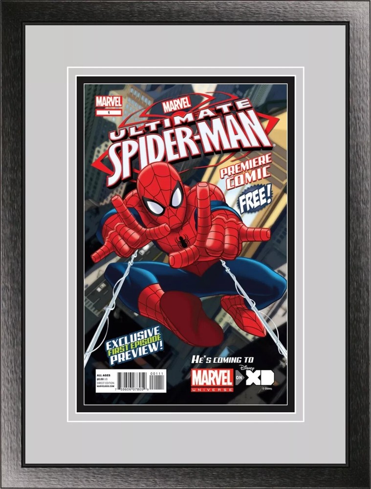 Comic Book Wall Mount Display Modern/Current Comic Book Wood Frame UV Protected