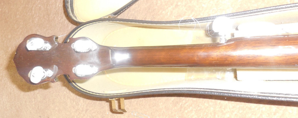 Aida 5-String Banjo in Case