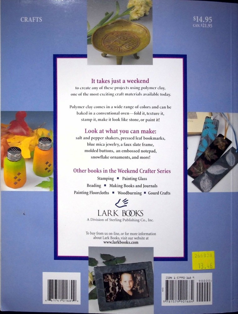 POLYMER CLAY : 20 WEEKEND PROJECTS USING NEW AND EXCITING TECHNIQUES IRENE