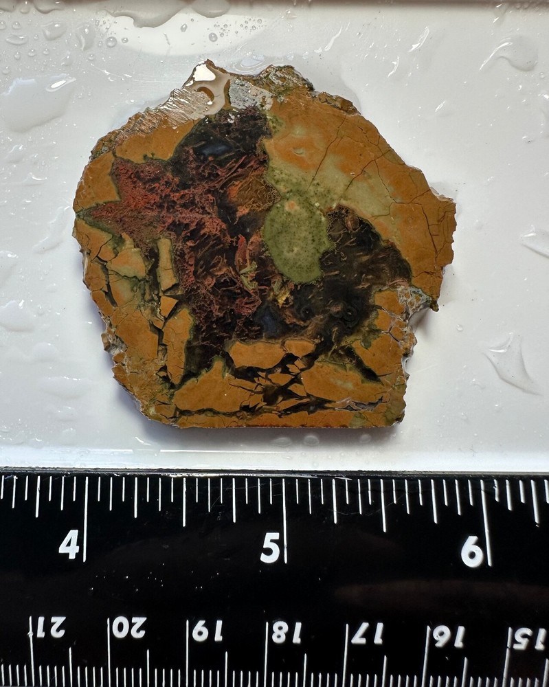 Priday Plume Agate Slice, 25 grams, Thunder-egg, Cabbing/Lapidary