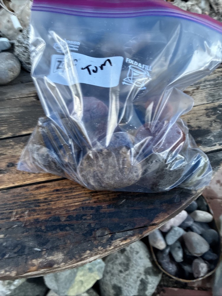 rocks for tumbling Rough 5 Lbs Mix