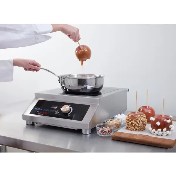 MAX Induction 2600W Cook & Hold Countertop Induction Range
