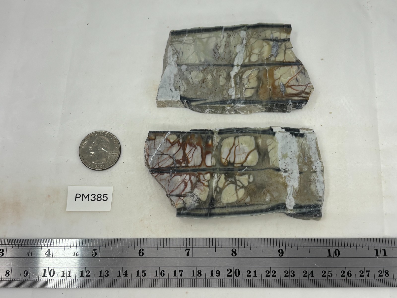 Picasso Marble (Jasper) Slabs Cabbing Lapidary Utah Combo Ship Avail