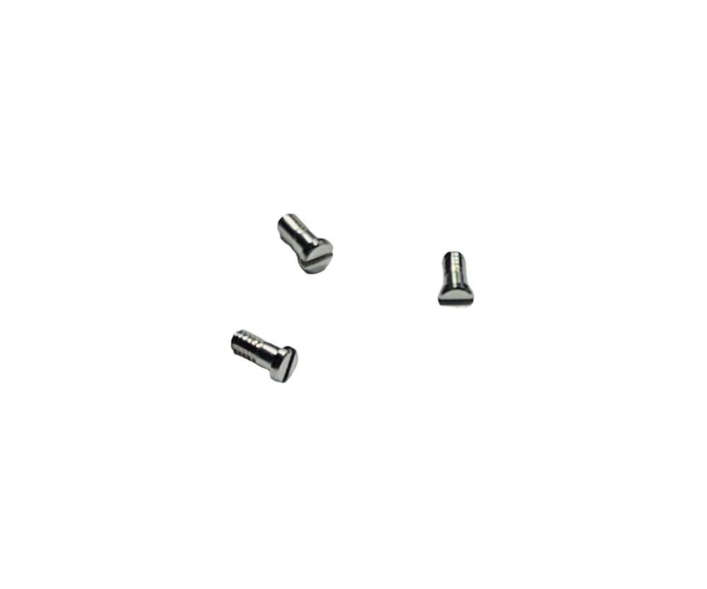 Oakley Terrigal OO4146 Ejector OO4142 Silver Replacement Temple Hinge Screws