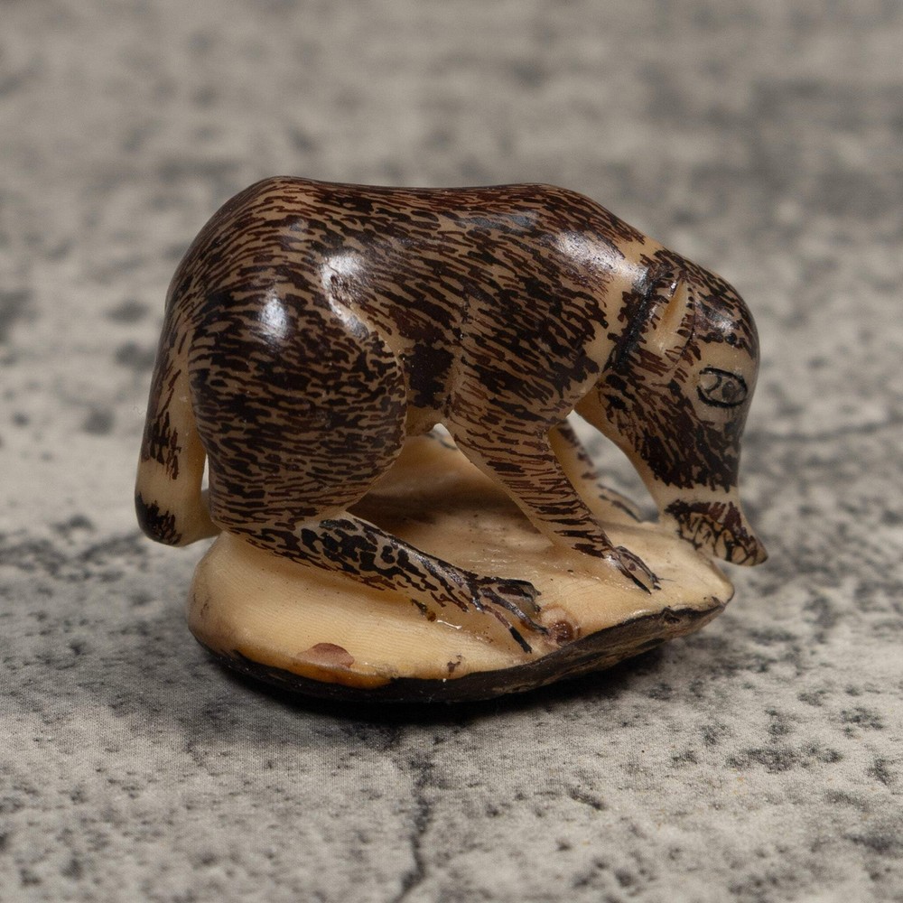 Vintage Coatimundi Tagua Carving