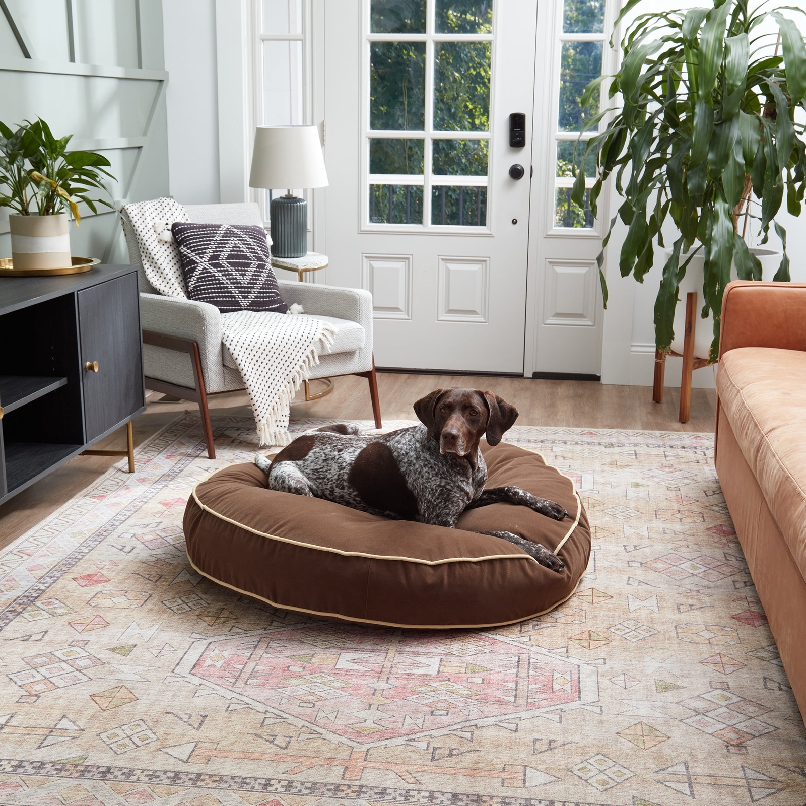 Scout Deluxe Round Microfiber Pillow Dog Bed
