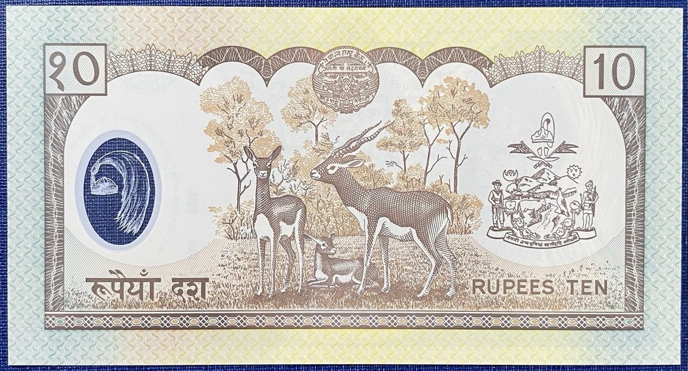 NEPAL ERROR Rs10 Polymer Banknote Left side serial # missing,P-45, UNC Ext RARE
