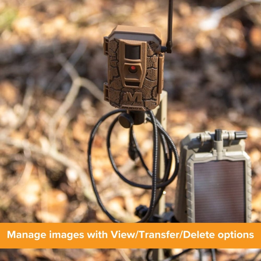 Muddy 4.3 Inch LCD Screen SD Card Reader Viewer (4 Pack) Memory Card Bundle