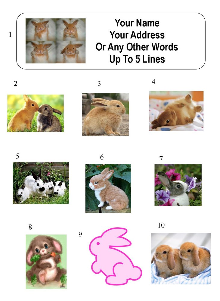 30 Bunny / Rabbit Personalized Address Labels
