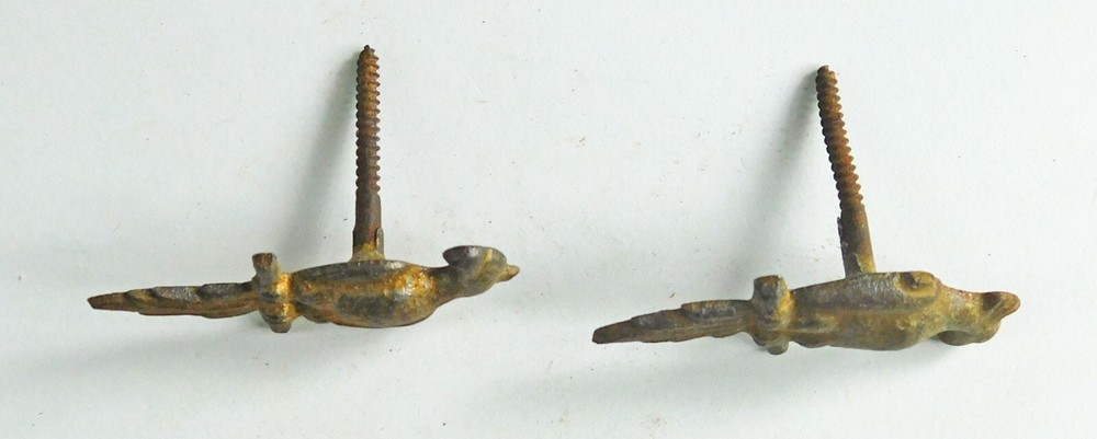 Pair asymmetrical Parrot picture hanging screws.