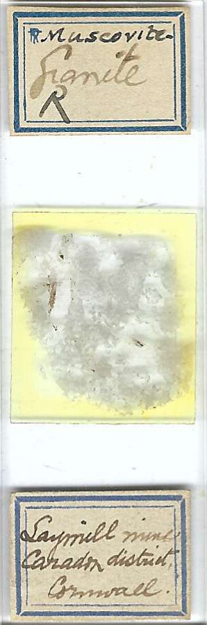 Muscovite Granite from Cornwall England Petrographic Microscope Slide
