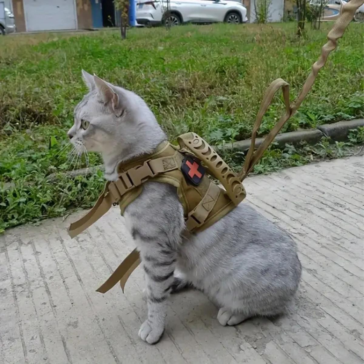 Cat Harness and Leash Adjustable Escape Proof Soft Mesh Walking Outdoor Small