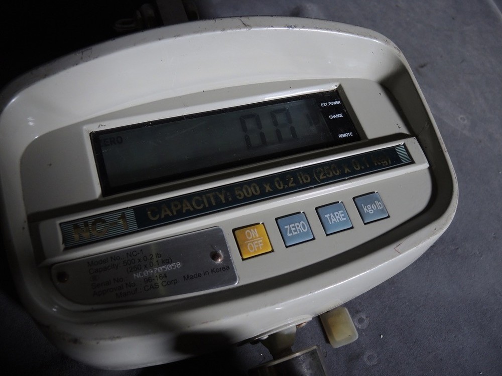 CAS NC-1 500 lb x .2 Digital Crane Scale