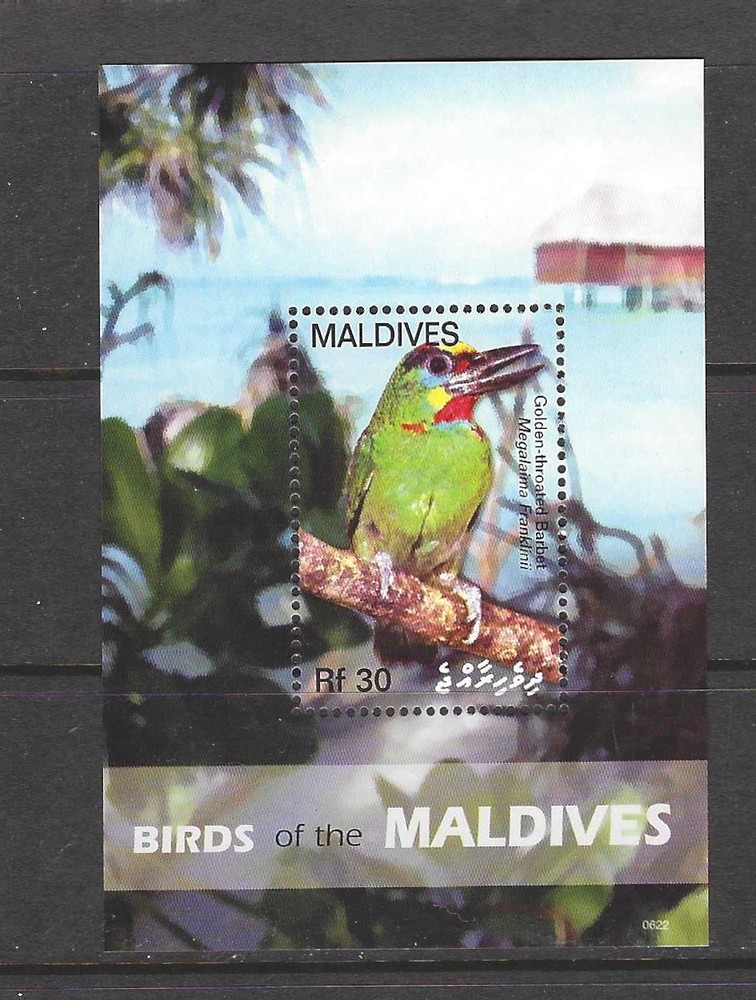 Maldives 2007 birds MNH (s327)