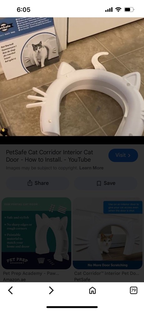 Kitty Pass cat door