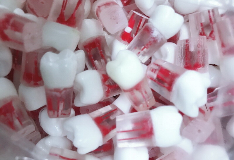 10x Dental clear Root Canal Teeth Study Practice Model Endodontic Pulp File