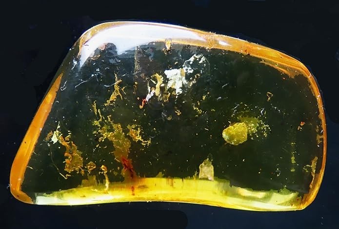 Natural Copal Amber with Insects Inside 5g Inclusion Specimen