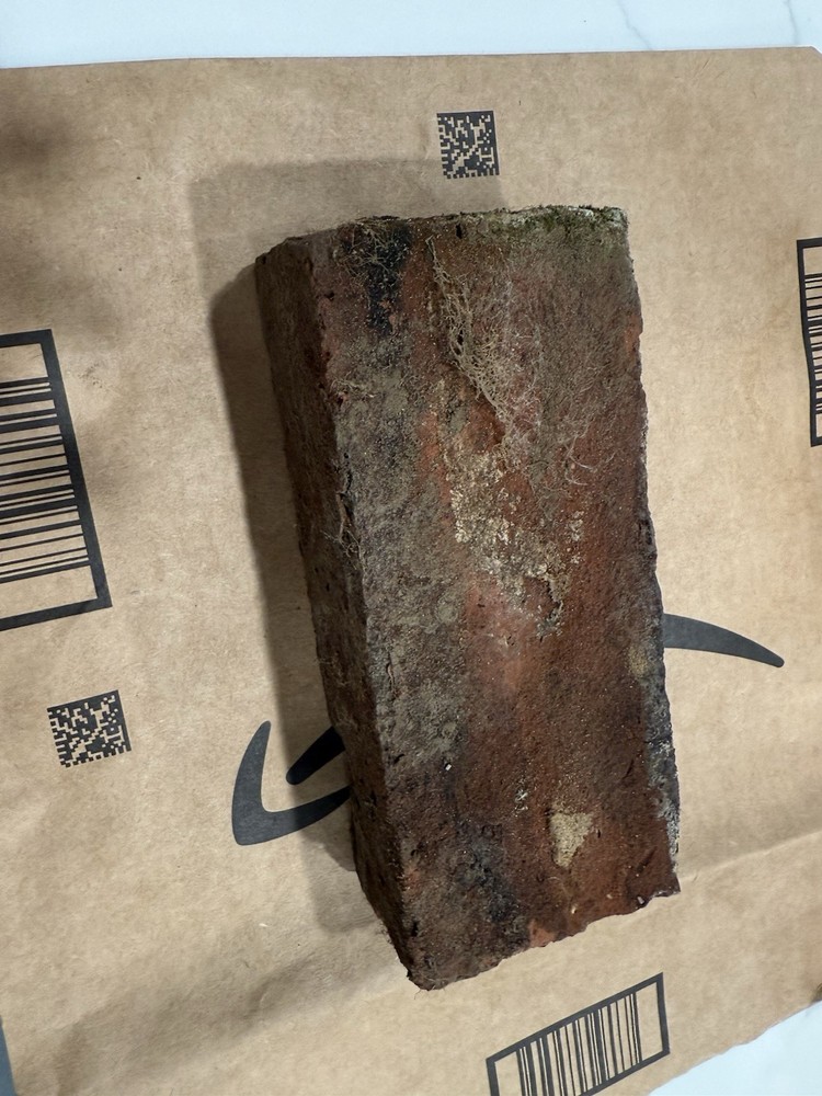 130 Year Old American Brick