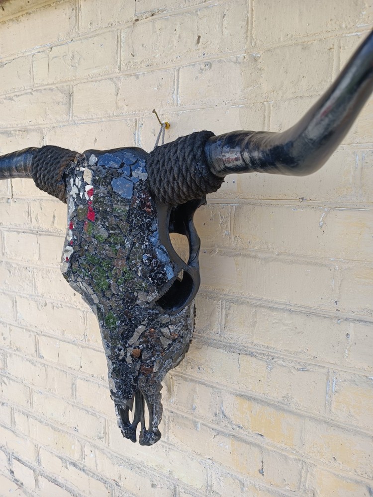 Real bull skull. Wall decor. Cow skull.