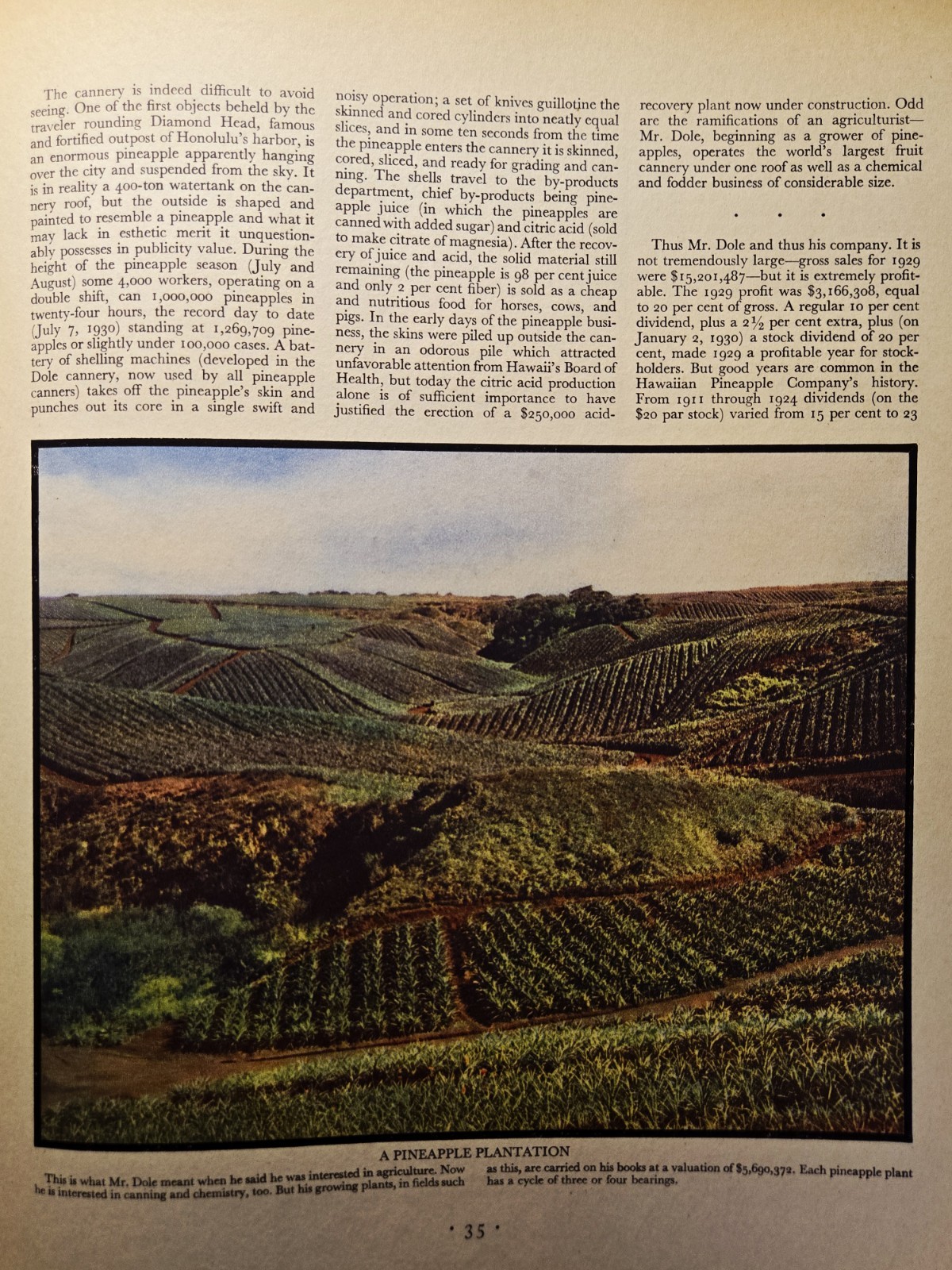 1930 Pineapples In Paradise Magazine Article Hawaiian Pineapple Co Lanai Dole