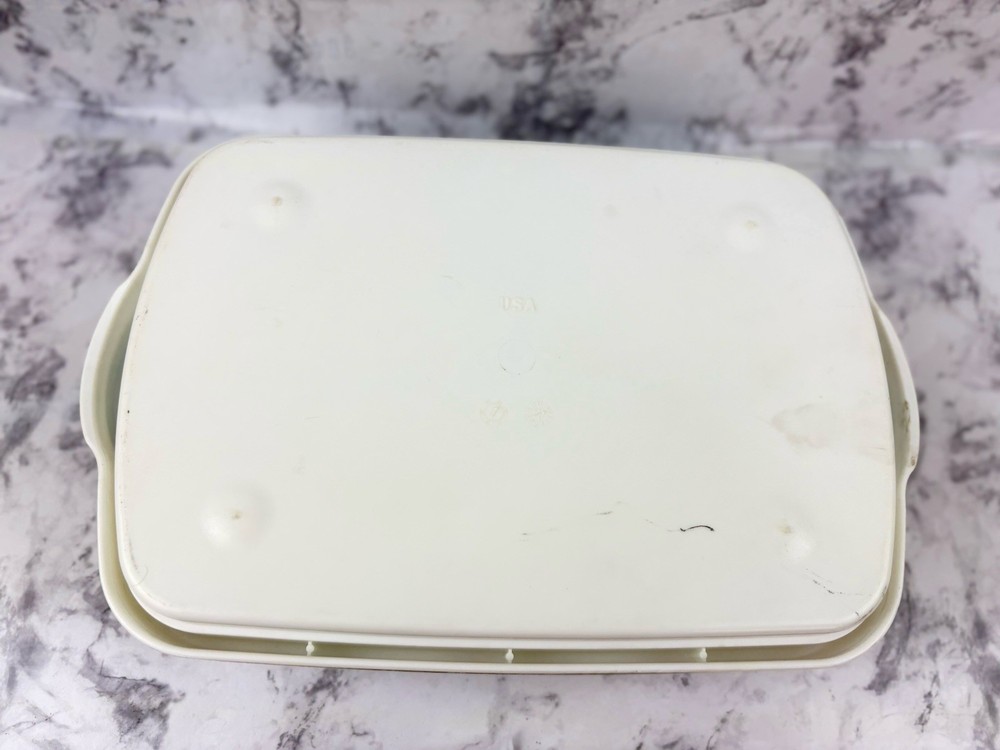 Pampered Chef #2781 Chillzanne Rectangle Server Tray Deviled Egg Veggies Fruit