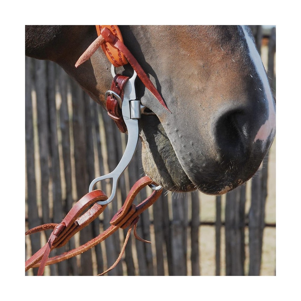 Classic Equine Performance Straight Shank Bit with Smooth Bar Floating Spade,...