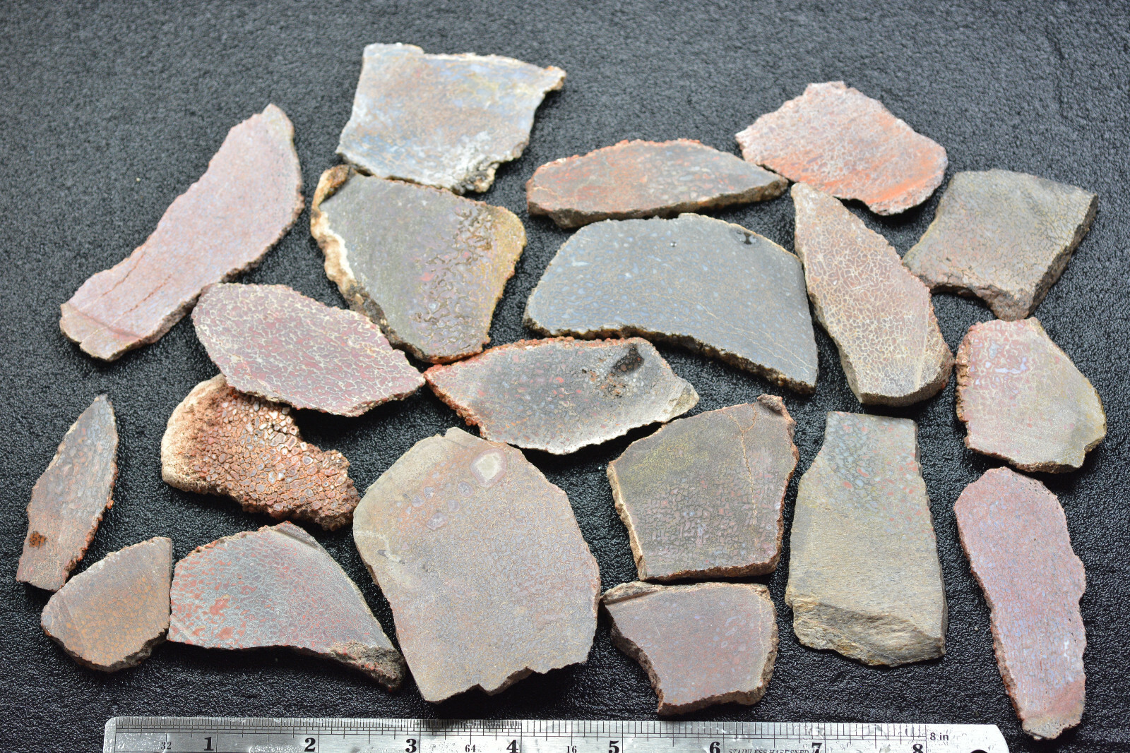 100 Grams of Agatized Dinosaur Bone Slabs