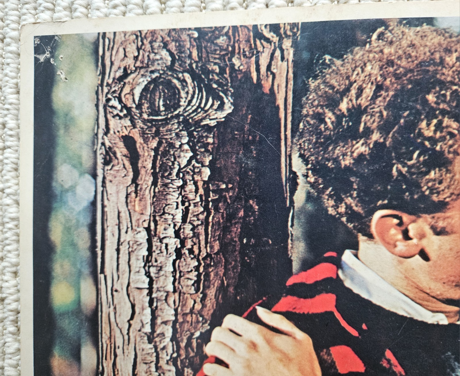 Carnal Knowledge 1971 six orig US 11x14 lobby cards Art Garfunkel Jack Nicholson