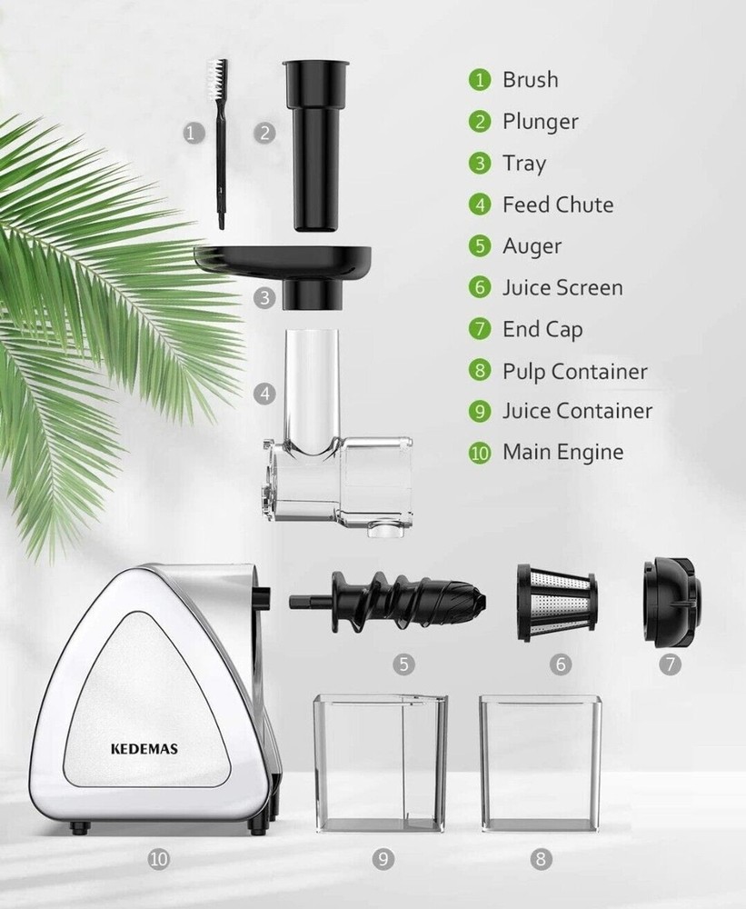 Portable Hand Juicer, Juicer Machines with Reverse Function, Cold press, Silver