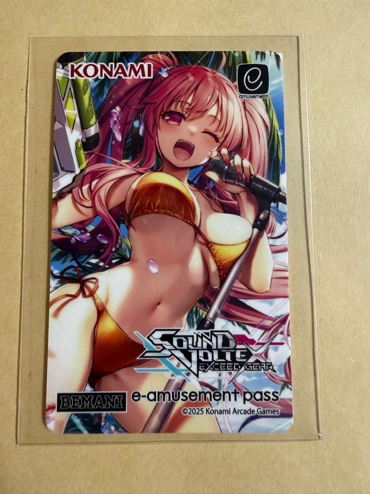 Sound Voltex Lottery E-Amusement Pass Rasis