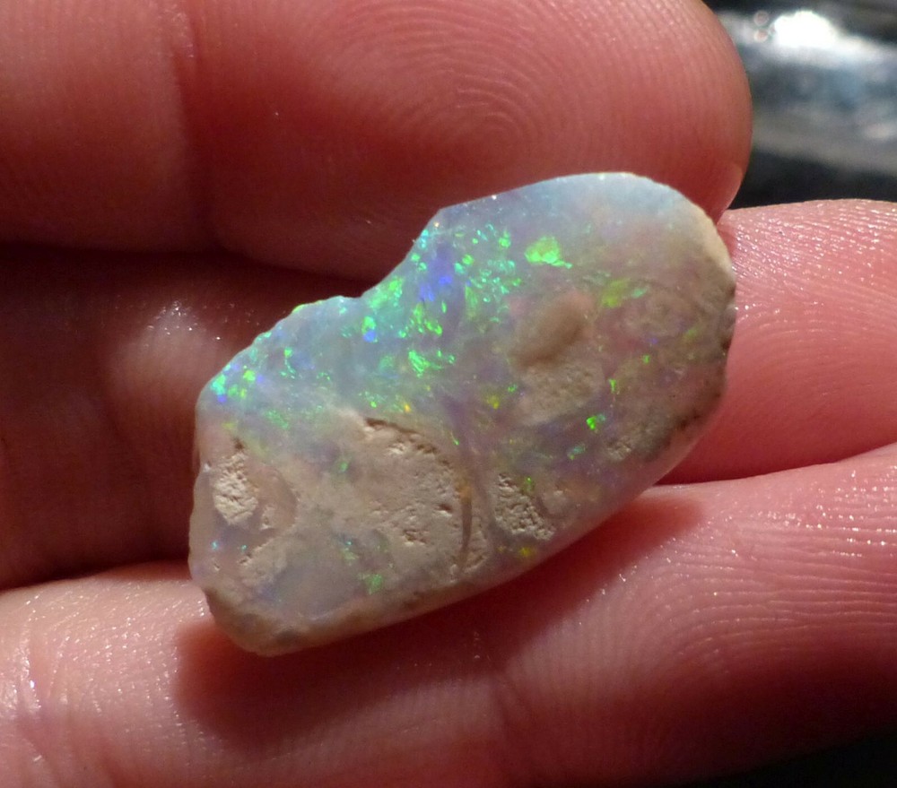 O&Co rough opal coober pedy опал fossil shell collection 9.90cts